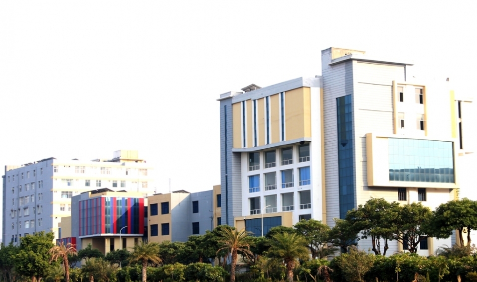 Nims University ने किया ऐलान, शहीदों के परिवार के बच्चों को मिलेगी फ्री शिक्षा
